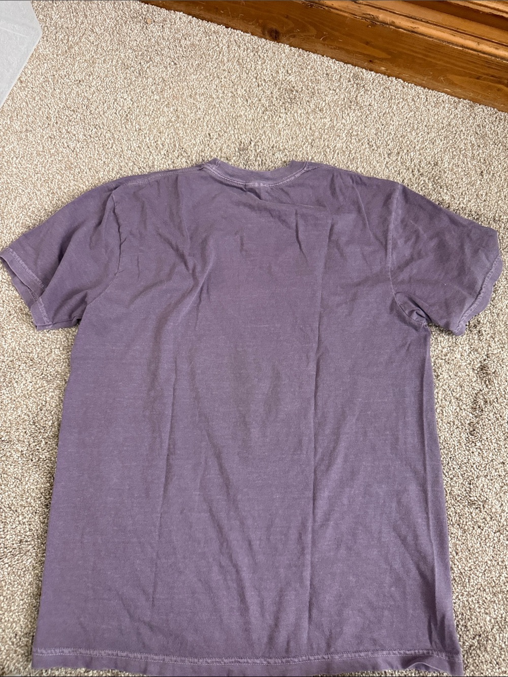 Goose Graphic Tee with Neon Goose Print size M - Picture 4 of 4